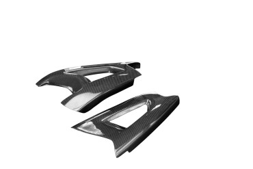 Carbon Schwingenverkleidung für Kawasaki ZX-10R 2011-2015 