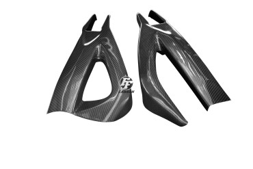 Carbon Schwingenverkleidung für Suzuki B-King 1300 2007-2011 