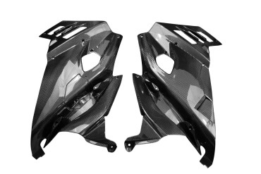Carbon Seitenverkleidung für Aprilia RS 660 