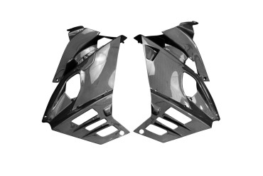 Carbon Seitenverkleidung für Aprilia RS 660 Carbon+Fiberglas | Leinwand | Glossy