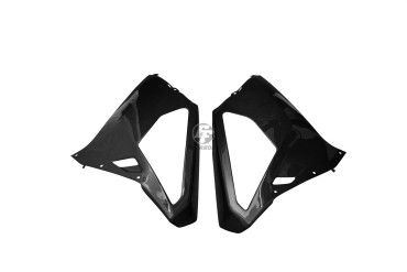 Rivestimento laterale Carbonio per Aprilia RSV 1000R 2004-2009 100% Carbonio | Tela | Brillante