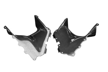 Carbon Seitenverkleidung für Aprilia RSV Mille 100% Carbon | Leinwand | Glossy