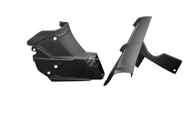 Carbon Side Panels for Aprilia Tuono V4 2018-2020 
