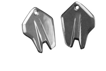 Carbon Seitenverkleidung für BMW F 900 R 2020-2021 Carbon+Fiberglas | Leinwand | Glossy