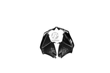 Carbon Seitenverkleidung für BMW F800 GS 2016- 