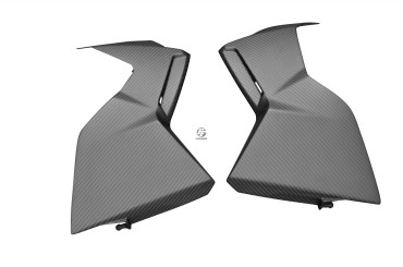 Carbon Seitenverkleidung für BMW K1300R 