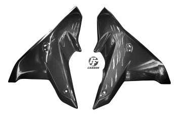 Carbon Seitenverkleidung für BMW R 1200 RS 2015- 