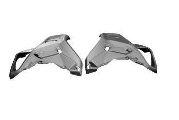 Carénage Latéral Carbone pour BMW R 1250 GS 2017-2019 