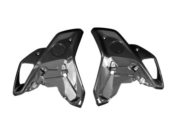 Carbon Seitenverkleidung für BMW R 1250 GS 2017-2019 Carbon+Fiberglas | Leinwand | Glossy