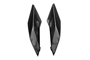 Carénage Latéral Carbone pour BMW R 1250 RS 2021- 