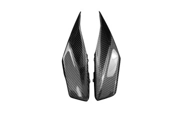 Carénage Latéral Carbone pour BMW R 1300 GS 2023- 