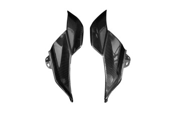 Carénage Latéral Carbone pour BMW R 1300 GS 2024- 