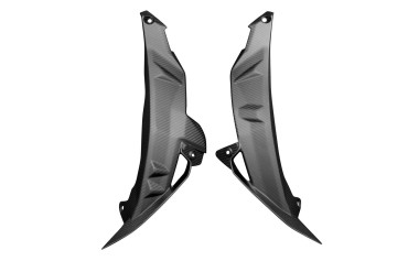 Carenado lateral Carbono por BMW S 1000 R 2017-2020 