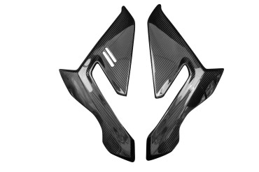 Carbon Side Panels for BMW S 1000 R 2021- 