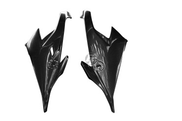 Carbon Side Panels for BMW S 1000 RR 2019- / M 1000 RR 2021- 