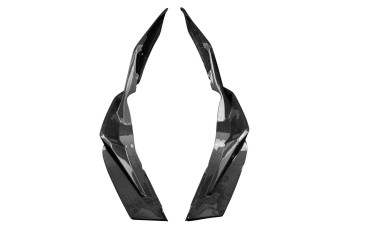 Rivestimento laterale Carbonio per BMW S 1000 XR 2020- 
