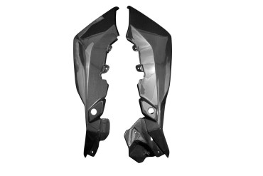 Rivestimento laterale Carbonio per BMW S 1000 XR 2020- Carbonio+Fibra di Vetro | Tela | Brillante