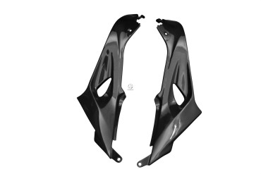 Carbon Seitenverkleidung für BMW S1000R 2014-2016 Carbon+Fiberglas | Leinwand | Glossy