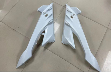 Carbon Side Panels for BMW S1000RR 2023- 