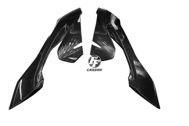Carbon Seitenverkleidung für BMW S1000XR 2014-2019 