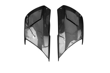Carenado lateral Carbono por Ducati Diavel 1260/1260S 2019-2020 Carbono+Fibra de Vidrio | Patron Enlazado | Brillante