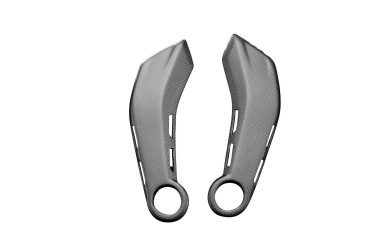 Carbon Seitenverkleidung für Ducati Monster 937 2021- 