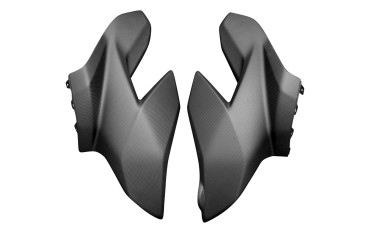 Carénage Latéral Carbone pour Ducati Streetfighter V4 