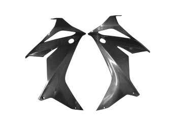 Carbon Seitenverkleidung für Honda CB 650 R / CBR 650 R 2019- 