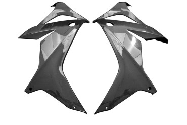 Rivestimento laterale Carbonio per Honda CB 650 R / CBR 650 R 2019- Carbonio+Fibra di Vetro | Tela | Brillante