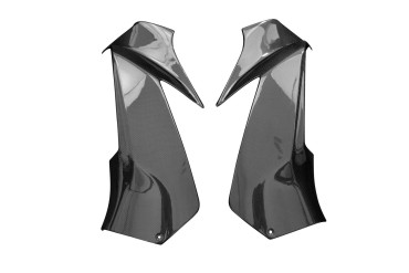 Carbon Side Panels for Honda CBR 1000 RR-R/SP 2020- 