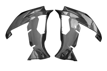 Rivestimento laterale Carbonio per Kawasaki Ninja H2 SX Carbonio+Fibra di Vetro | Tela | Brillante