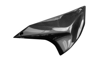 Carbon Seitenverkleidung für Kawasaki Z H2 