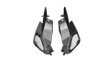 Carbon Seitenverkleidung für Kawasaki Z1000 2014-2020 