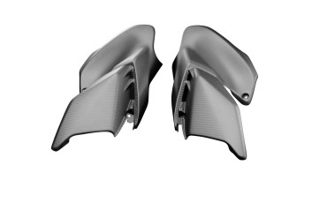 Carbon Seitenverkleidung für Kawasaki Z900 2020- 