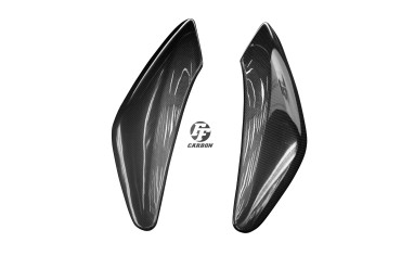 Carbon Seitenverkleidung für Triumph Speed Triple 2011-2015 Carbon+Fiberglas | Leinwand | Glossy