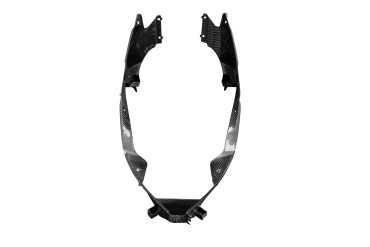 Carbon Seitenverkleidung hinter Kühler Rechts für BMW S 1000 RR 2019- / M 1000 RR 2021- Carbon+Fiberglas | Köper | Glossy