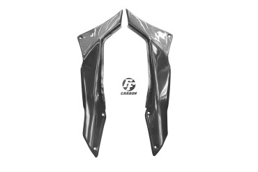 Carenatura laterale sotto il sedile Carbonio per Ducati Multistrada 1200 / 1200S 2010-2014 Carbonio+Fibra di Vetro | Tela | Brillante