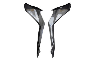 Carénage Latéral au-dessous selle Carbone pour Ducati Supersport 939 2017-2020 