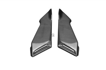 Carenatura laterale sotto il sedile Carbonio per MV Agusta Brutale 750 / 910 / 989R / 1078RR Carbonio+Fibra di Vetro | Tela | Brillante