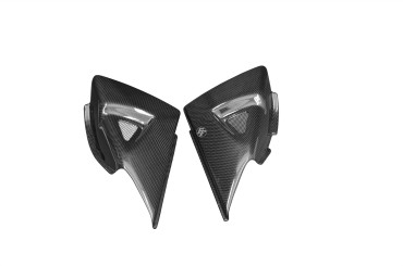Carbon Seitenverkleidung unter Sitz für Suzuki B-King 1300 2007-2011 