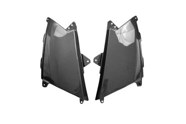 Carbon Seitenverkleidung unter Tank für BMW R 1200 GS 2004-2013 