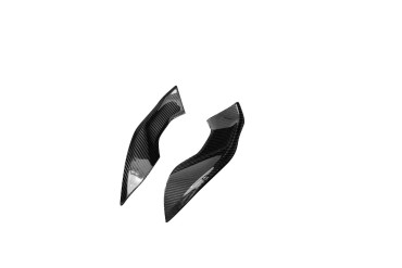 Carenatura laterale sotto il serbatoio Carbonio per BMW S 1000 R 2021- Carbonio+Fibra di Vetro | Tela | Brillante