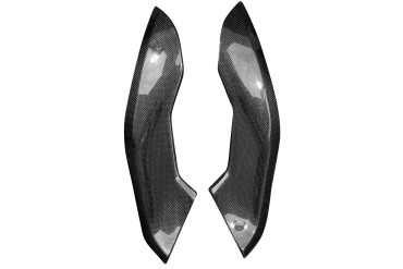 Carbon Side Panels below Tank for BMW S 1000 RR 2019- 