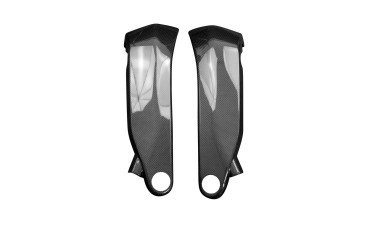 Carénage Latéral au-dessous réservoir Carbone pour Ducati Panigale V4R 2022- 