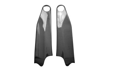 Carénage Latéral au-dessous réservoir Carbone pour Ducati Streetfighter V4 