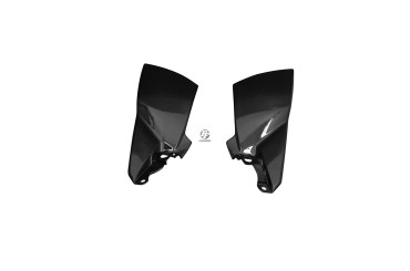 Carbon Seitenverkleidung unter Tank für Suzuki B-King 1300 2007-2011 