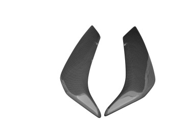 Carbon Side Panels below Tank for Yamaha FZ8 