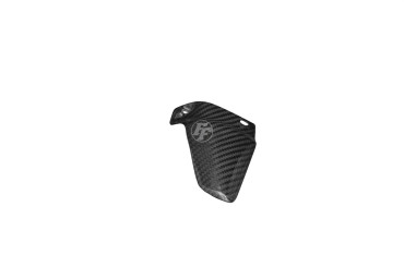 Carbon Sozius Fersenschützer Rechts für Ducati Monster 1200 / 1200S 2014-2016 / 821 2014-2017 100% Carbon | Köper | Glossy