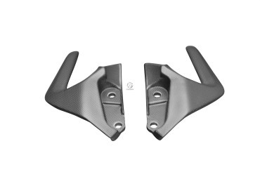 Impugnature per i passeggeri Carbonio per Ducati Monster 1200 / 1200S 2014-2016 / 821 2014-2017 