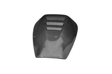 Capot de Selle Passager Carbone pour Aprilia RSV Mille 2001-2003 / Tuono 2002-2005 